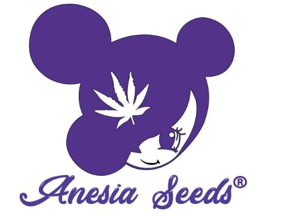 Anesia Seeds Най-добрите семена от канабис