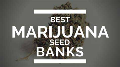 Los mejores bancos de semillas de cannabis