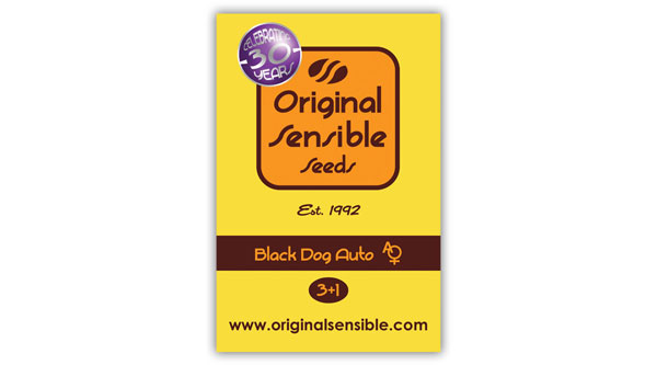 beste Hanfsamen-Marken - Original Sensible Seeds