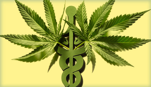 Cepas populares de cannabis medicinal