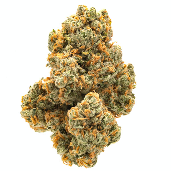 Top Sativa-Sorten 2024 - Green Crack