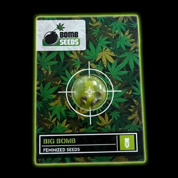 包裝圖片 Bomb Seeds 使用