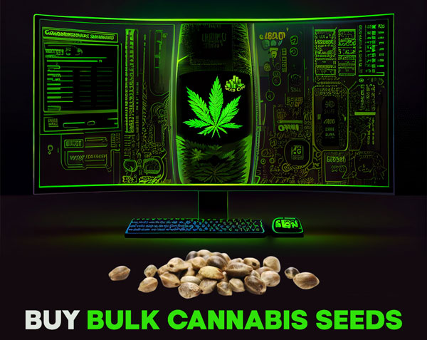 Bulk Semi di Cannabis