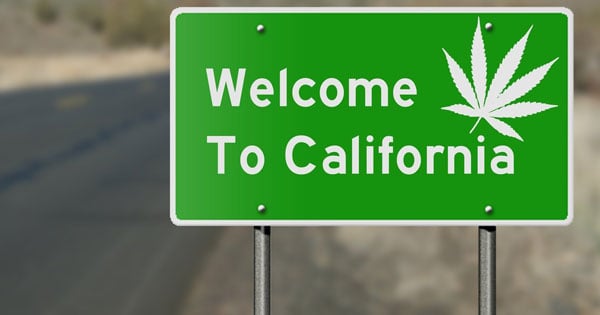 Semi di cannabis della California