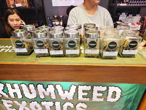 Calidad del cannabis en Tailandia