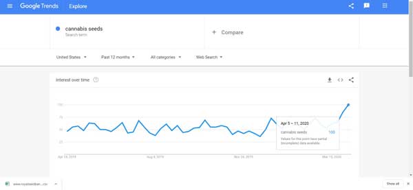 Търсенето на семена на канабис през цялото време