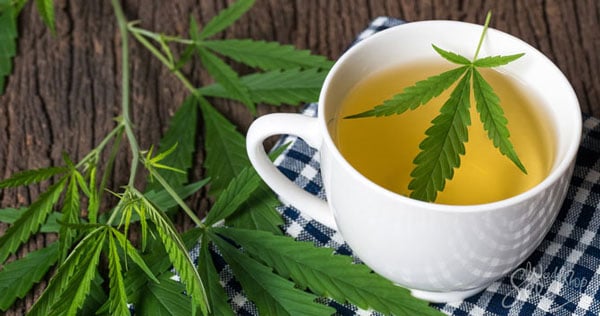 Tè alla cannabis