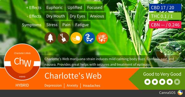 Charlotte's Web CBD Cannabis-stammer