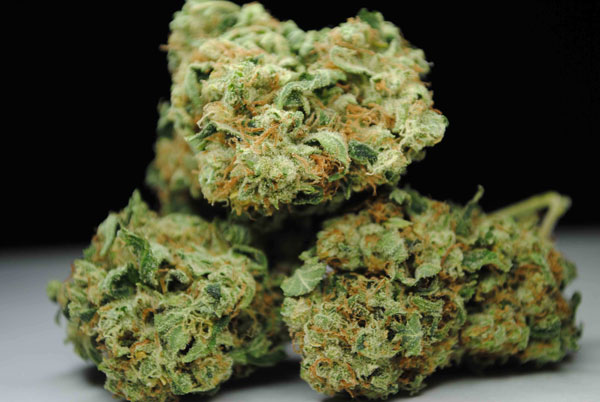 Chemdawg Cannabis frø