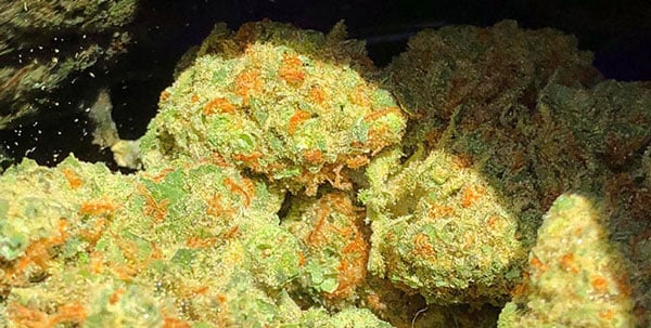 Marijuana Chemdawg