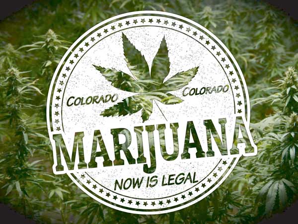 Bedste Colorado Legal Weed Seed Bank
