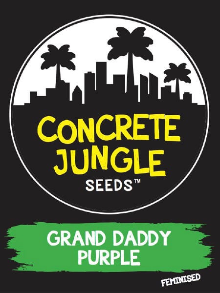 ขายเมล็ดพันธุ์ Concrete Jungle Grand Daddy Purple