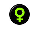 Sementes Feminizada