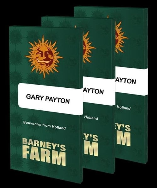 加里·佩顿 (Gary Payton) 2024 年顶级大麻种子