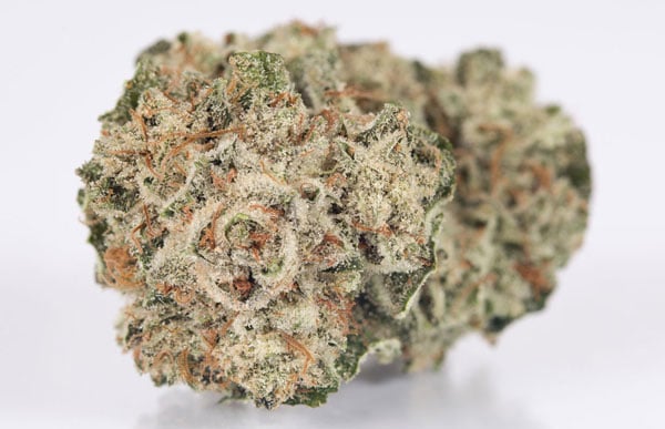 Keo Gorilla 10 chủng Indica hàng đầu