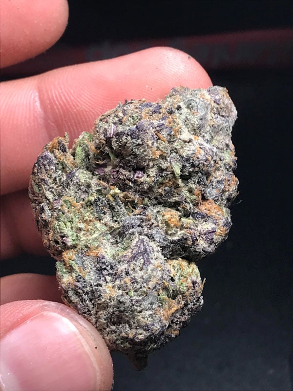 出售Grandaddy OG大麻种子