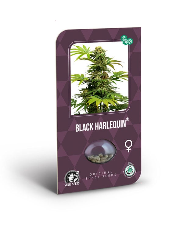 Harlequin Feminized Seeds