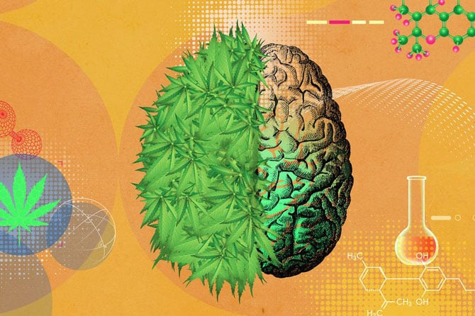 Gezondheidsvoordelen van cannabisthee