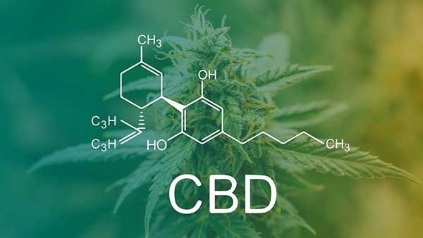 CBD altos de Cannabis