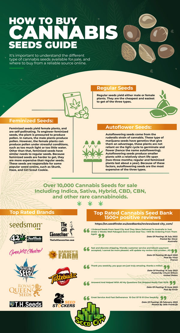 Cómo comprar semillas de cannabis en línea