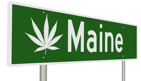 Maine Cannabis-lagar