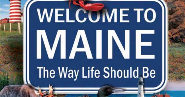 Maine Cannabis Seeds For Sale 