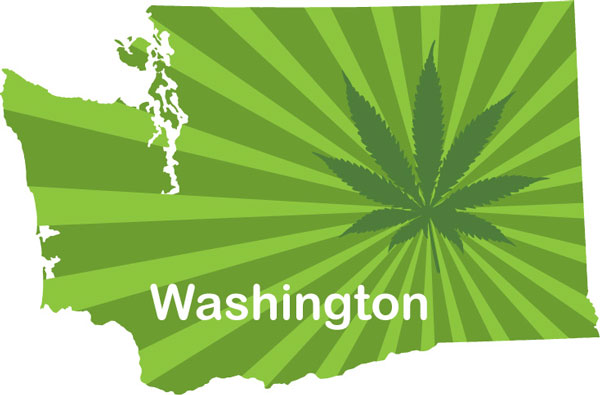 Semi di Marijuana Washington