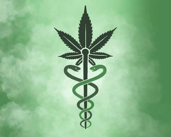 Medicinsk marihuana frø til salg