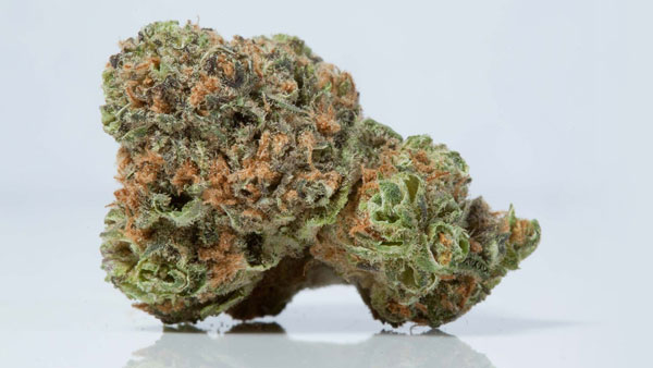 Top Sativa-cannabis in 2024 - Pineapple Express