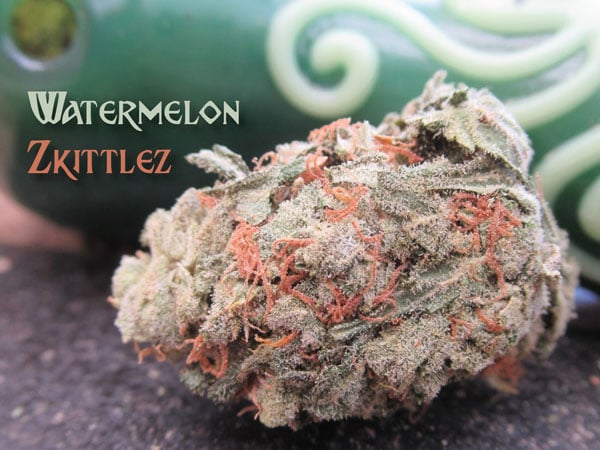 西瓜 Zkittlez，作者：Trichome Marijuana Seed 教授