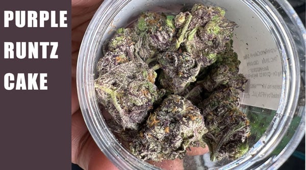 Purple Runtz Cake Най-добрите семена за 2024 г