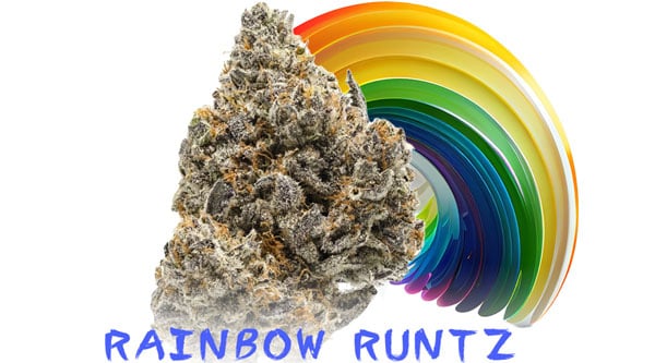 Sjeldne Cannabis-stammer - Rainbow Runtz