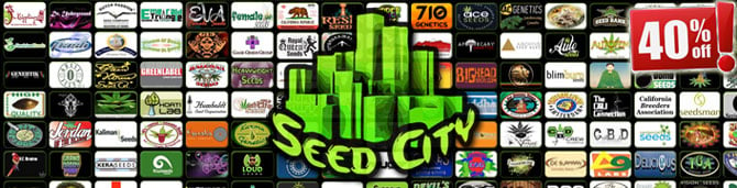 מכירת זרעי קנאביס של Seed City