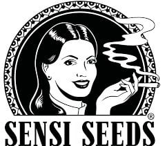 Sensi Seeds - Geriausi kanapių sėklų augintojai