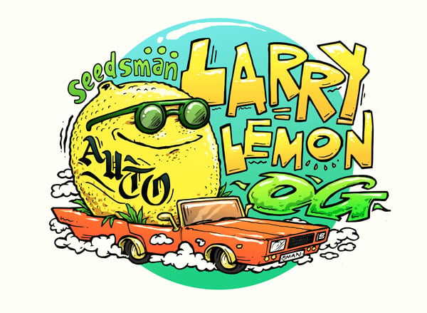 Larry Lemon 前 10 名 Autoflowering 大麻種子