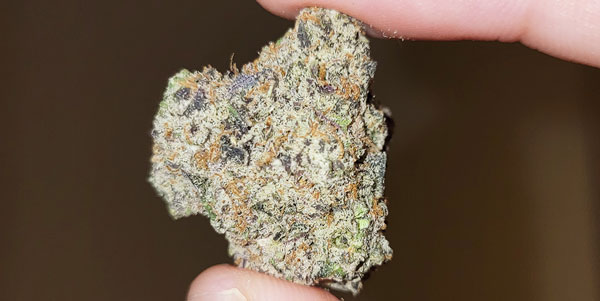Top Shelf Cannabis Fat Buds