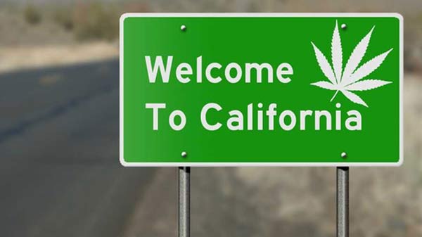 Banques de graines de cannabis en Californie