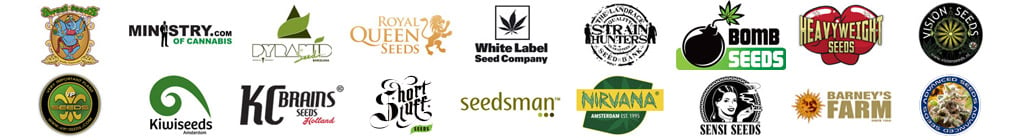 Choose Your Own Free Seeds from Top Quality Breeders!