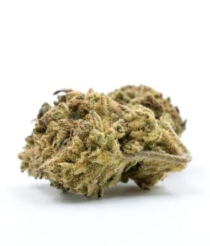 Agent Orange