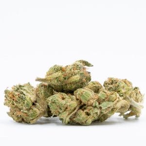 Amnesia Autoflower