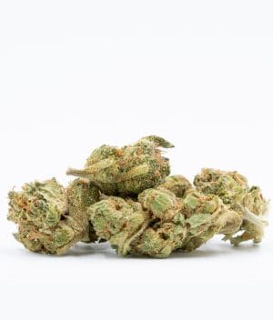 Amnesia Autoflower