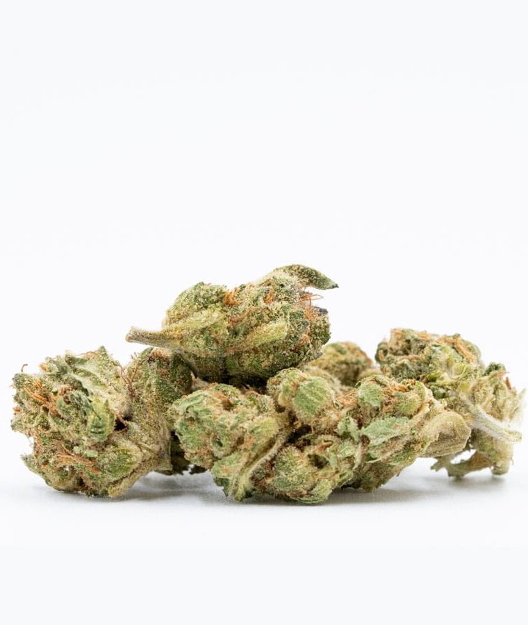 amnesia_autoflower-1.jpg