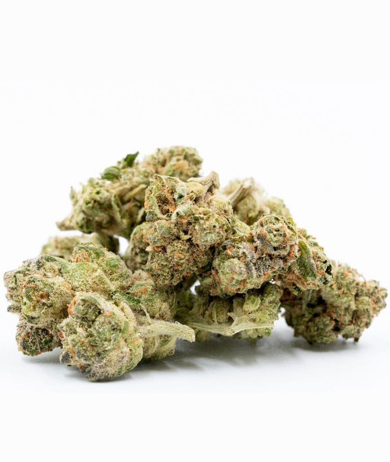 amnesia_x_nicole_kush-1.jpg