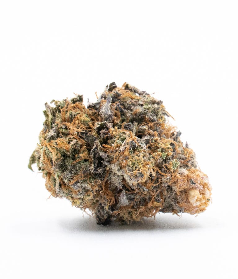 cbd_critical_mass_auto_1_15.jpg