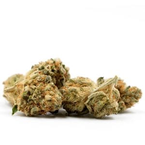 CBD Kush x CBD Kush (CBD: 15% THC: 0,2%)