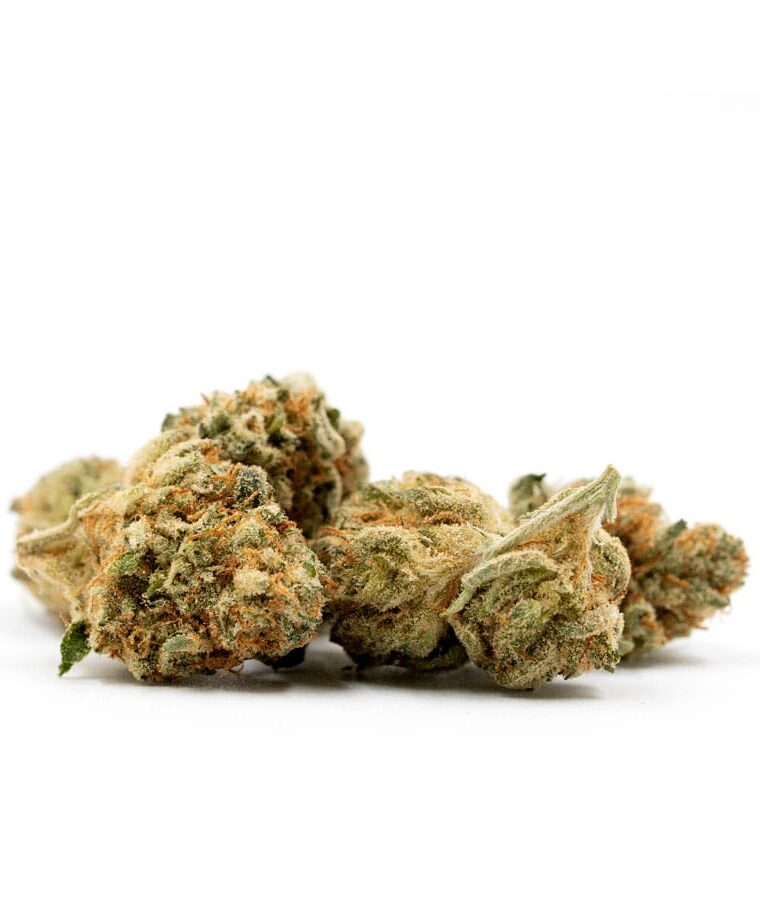 cbd_kush_x-cbd_kush.jpg