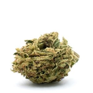 CBD Sour Lemon (1:1)