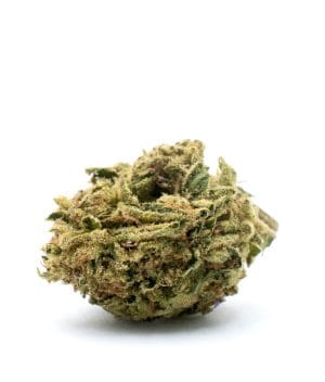 CBD Sour Lemon (1:1)