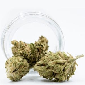 CBD White Widow Autoflower (1:1)