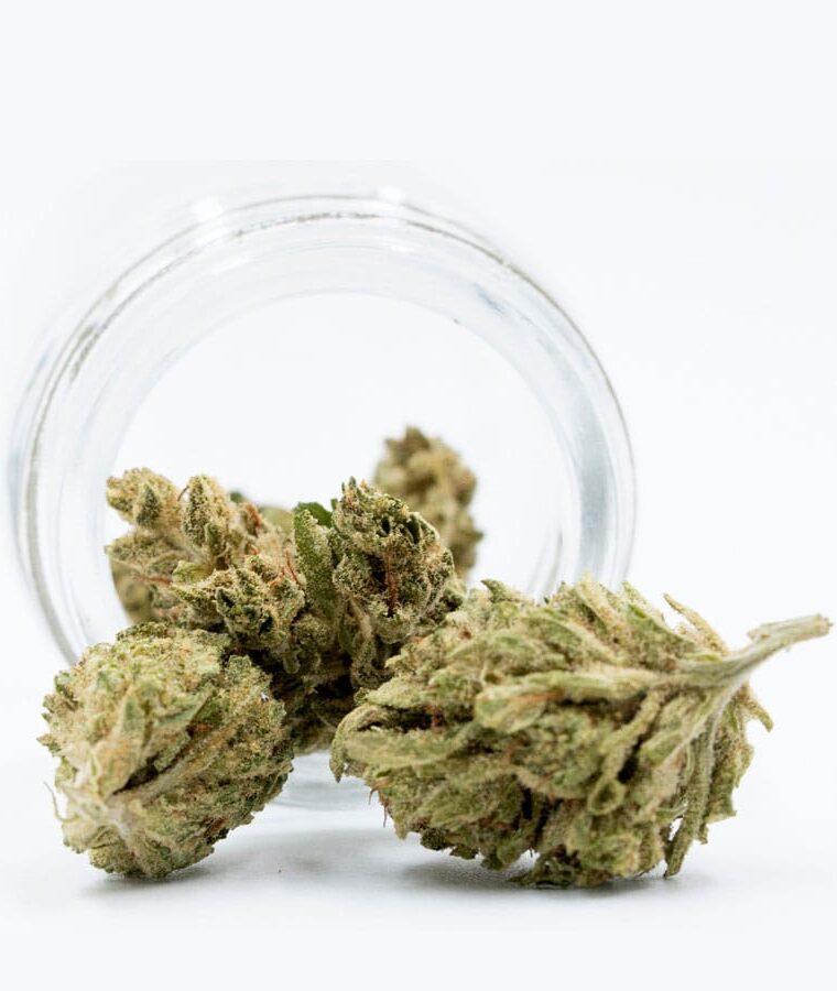cbd_white_widow_autoflower_1_1-1.jpg